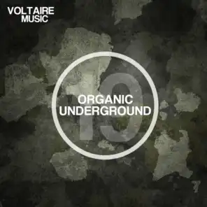 Underrated (Davide Squillace Remix) [feat. Forrest]