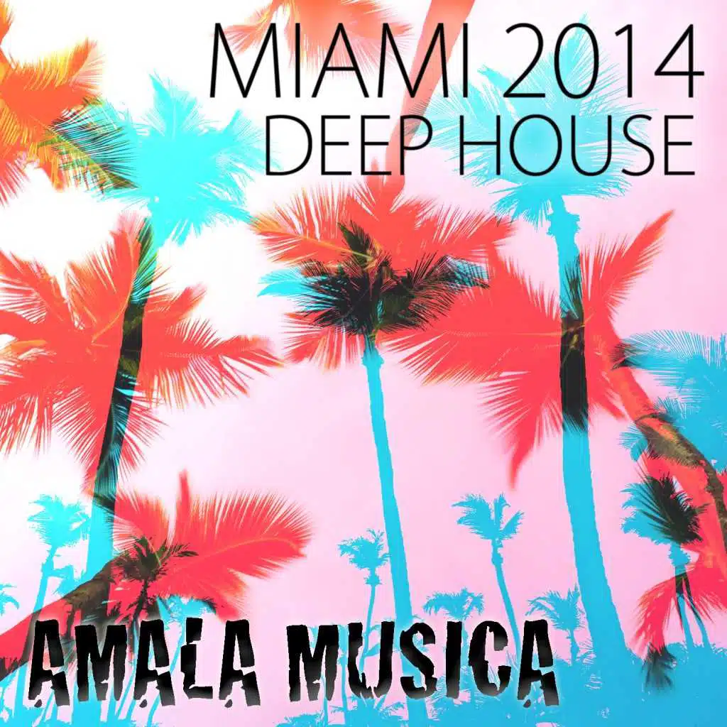 Miami Deep House 2014