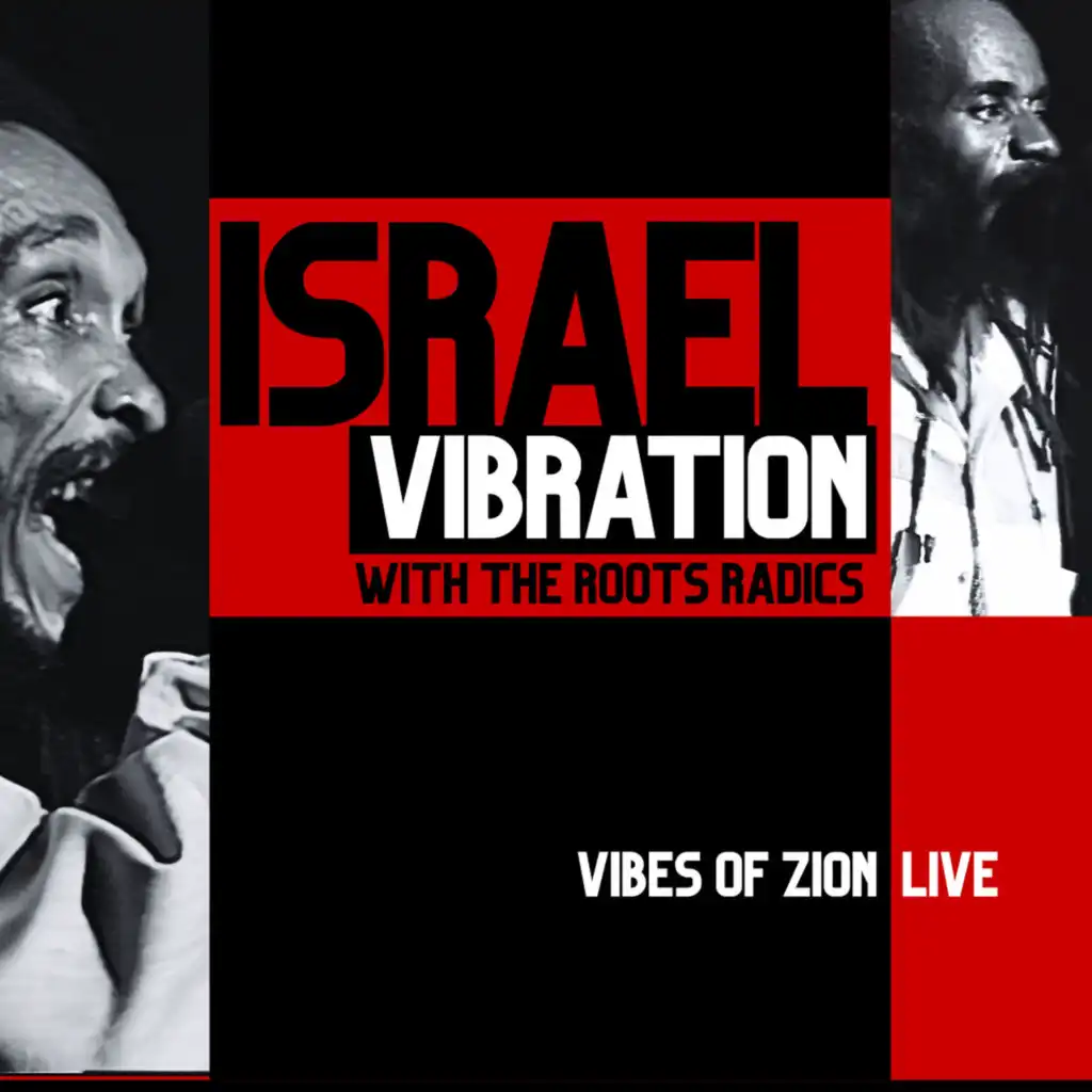 Racial Discrimination (Live) [feat. Roots Radics]