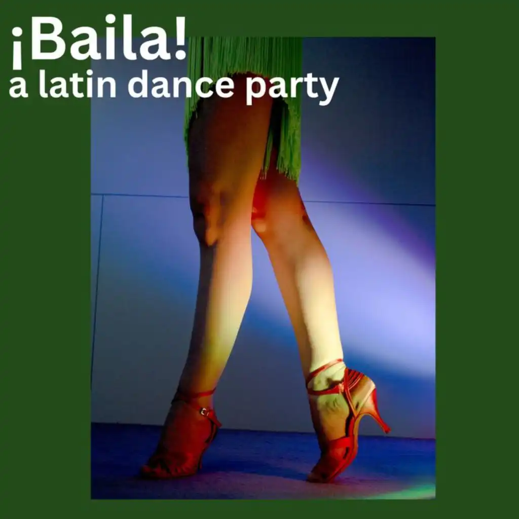 ¡Baila! a latin dance party
