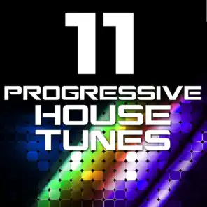 11 Progressive House Tunes (Volume 2)