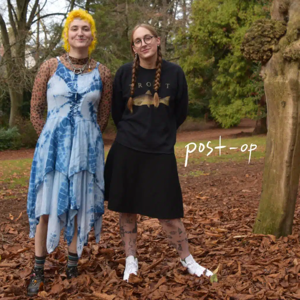 Sister Wife Sex Strike