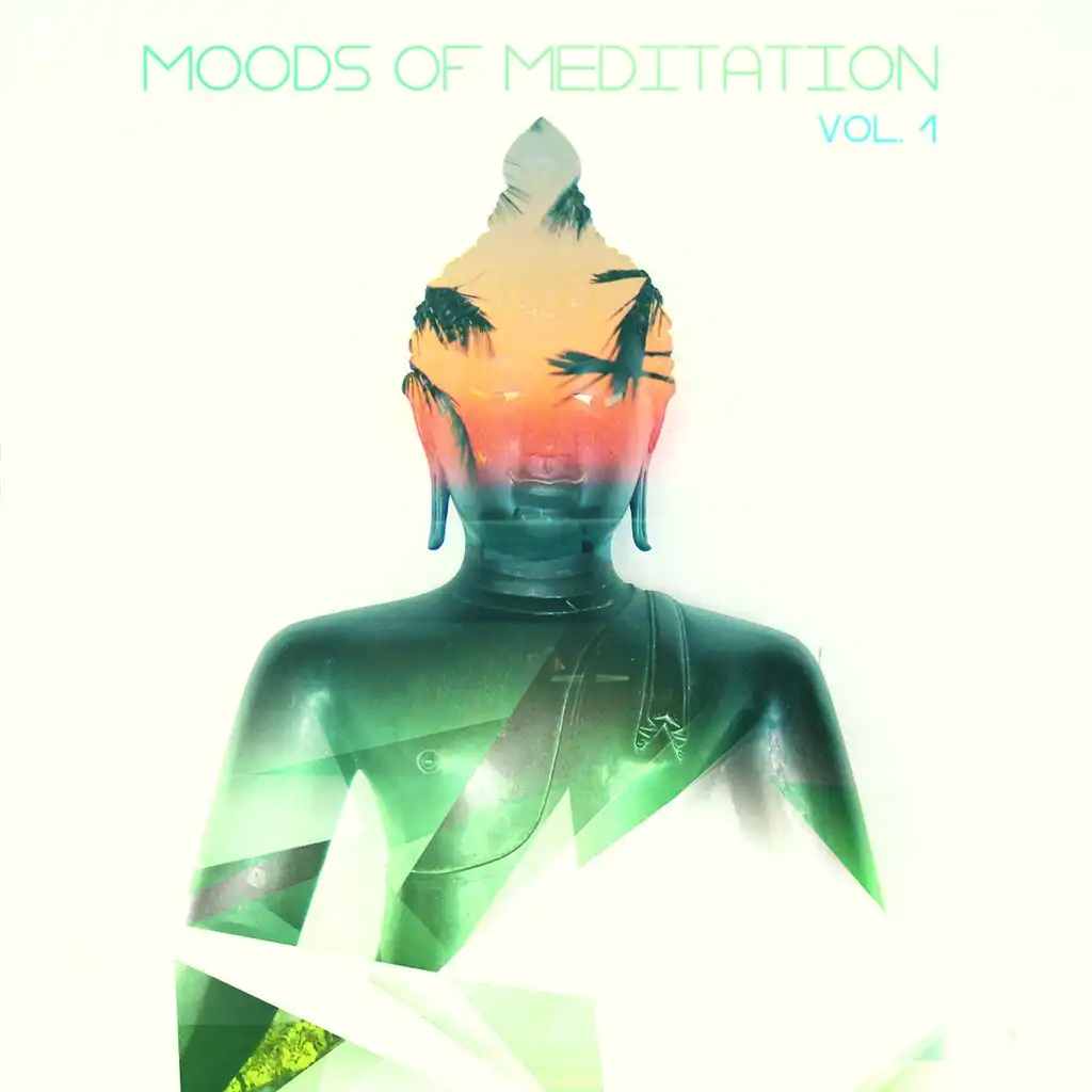 Moods of Meditation, Vol. 1 (Best Tunes for Mediation and Yoga Sessions)