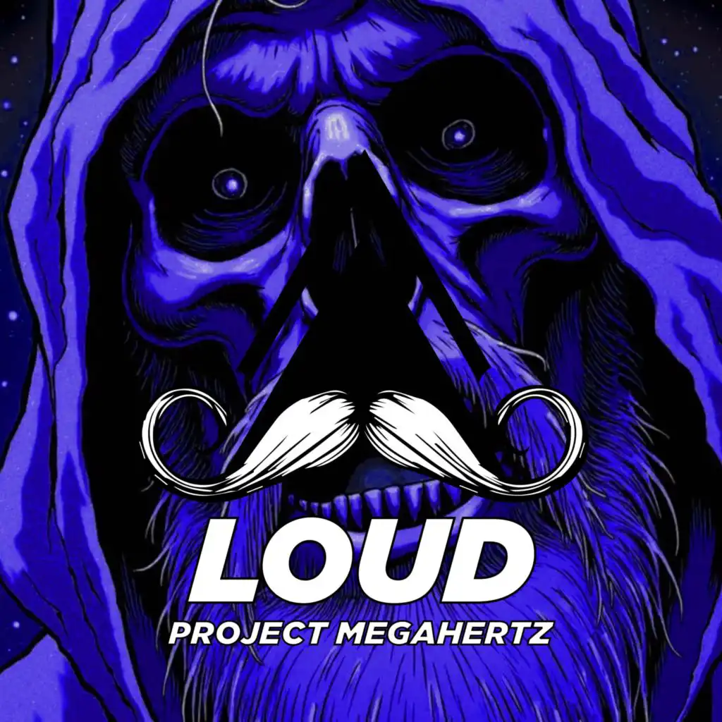 Project Megahertz