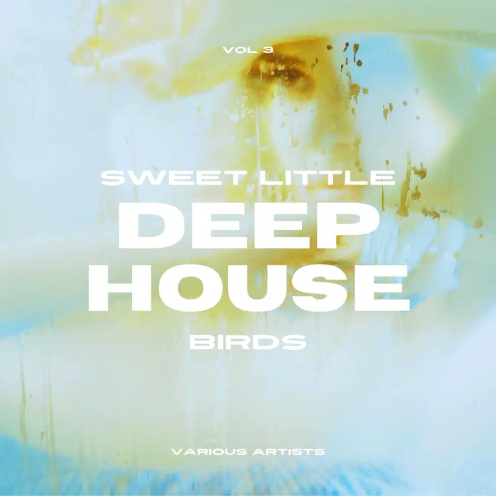 Sun Goes Down (Instrumental Mix) [feat. Brad Rock]