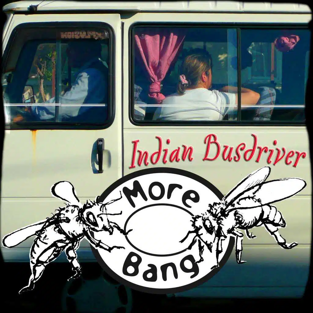 Indian Busdriver