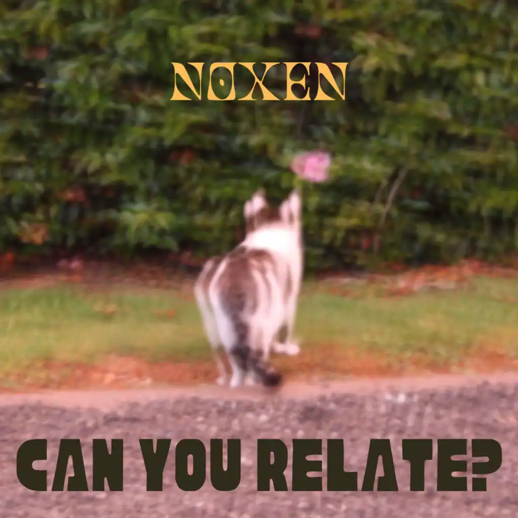 Noxen