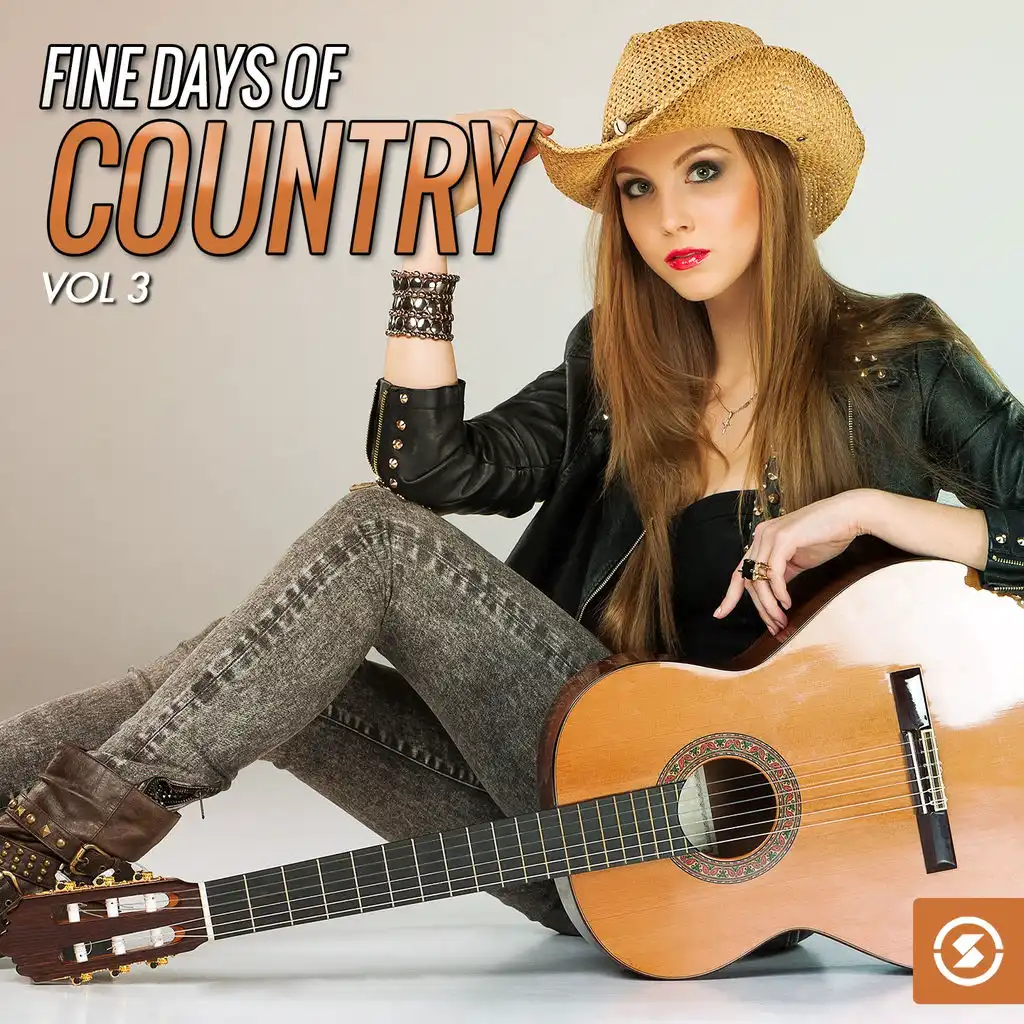 Fine Days of Country, Vol. 3