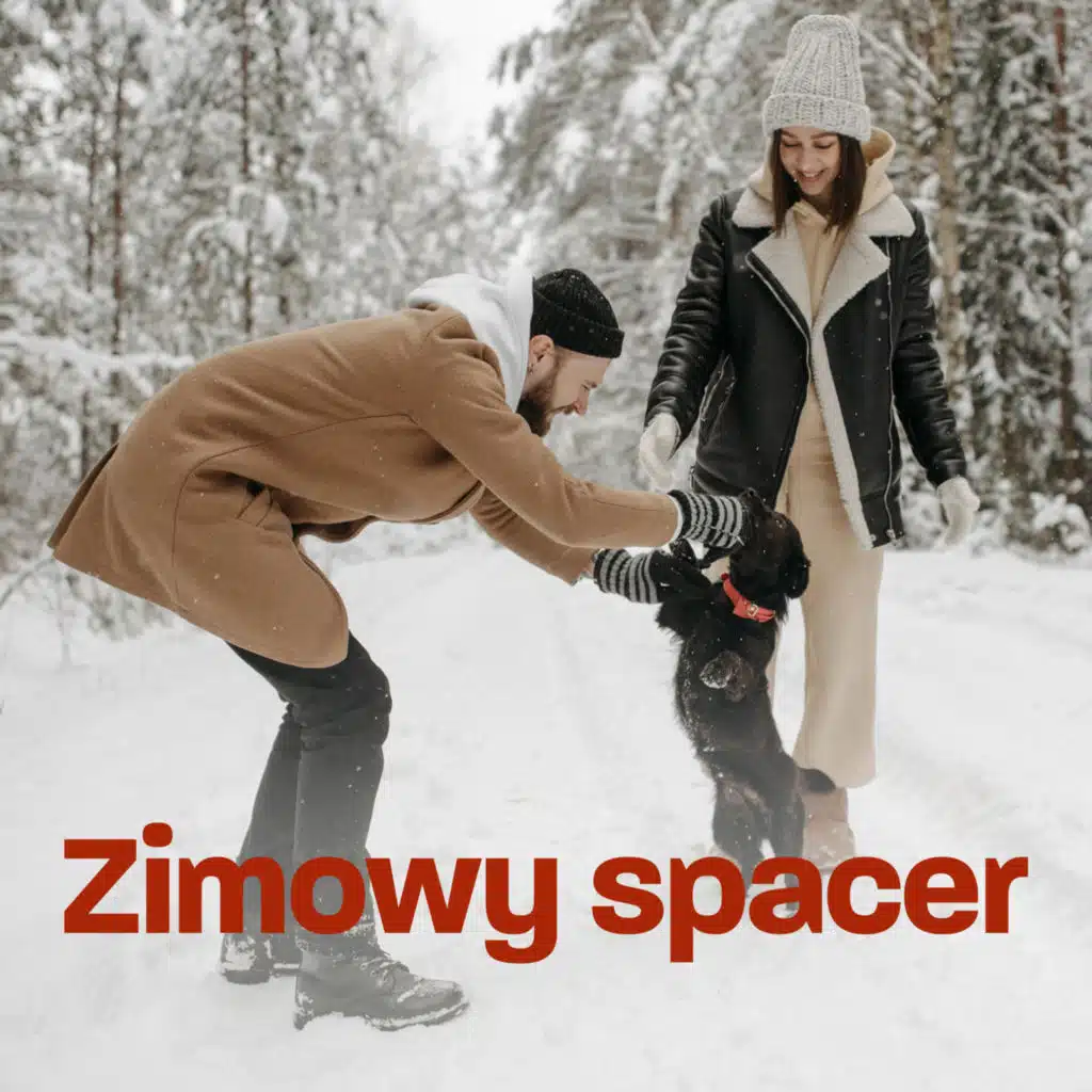 Zimowy spacer