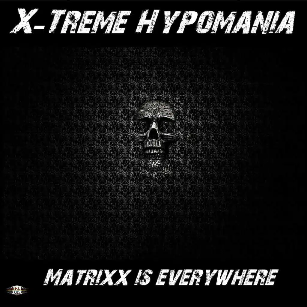 Matrixx Is Everywhere (Long Mix)