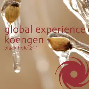 Koengen (DJ Shahs Secundo Vision)