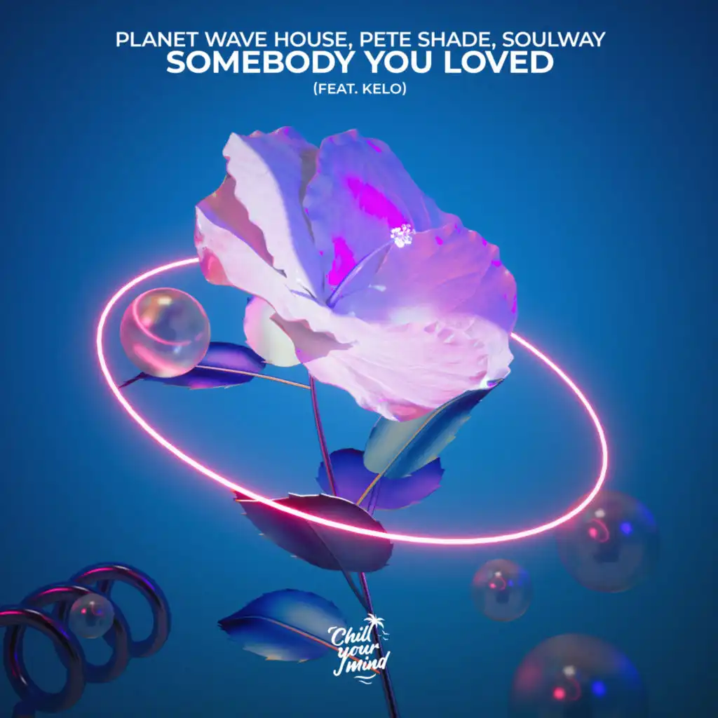 Somebody That You Loved (feat. Kelo)