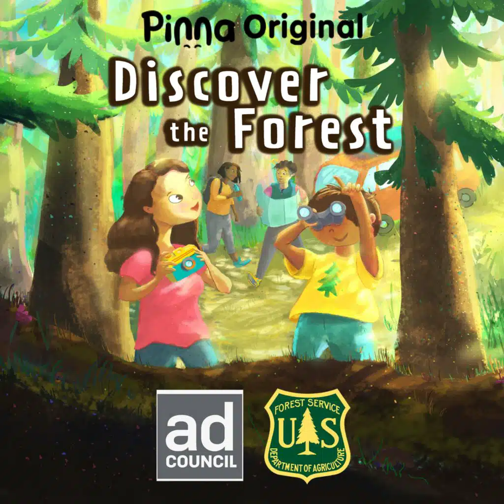 Discover the Forest