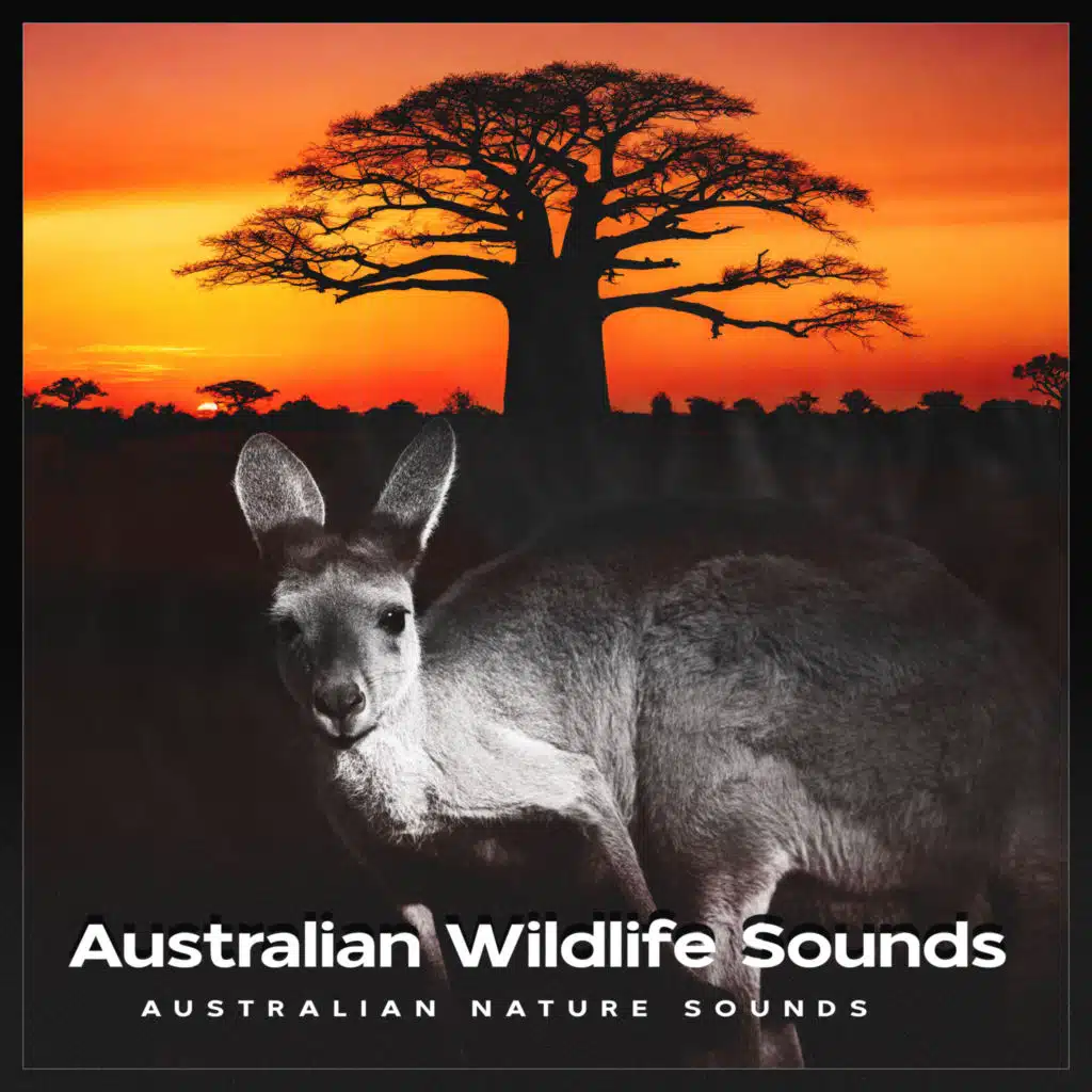 Australian Wildlife Sounds