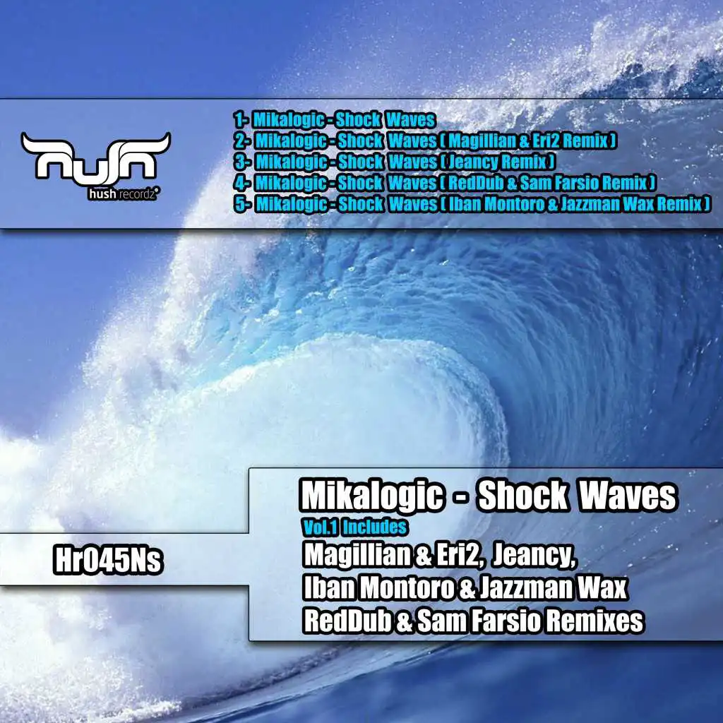 Shock Waves, Vol. 1