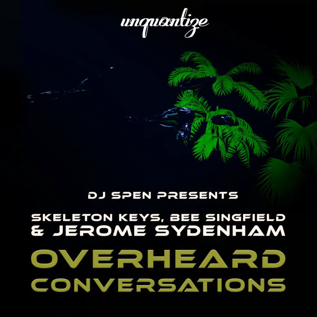 Overheard Conversations (Jerome Sydenham Feel Vocal Dub)