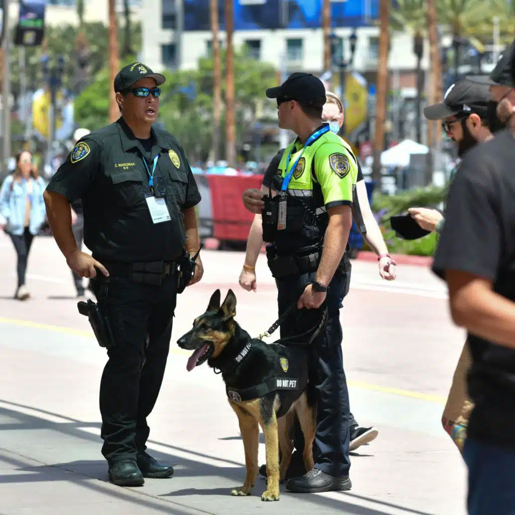 San Diego Police K-9 Policy Called Into Question