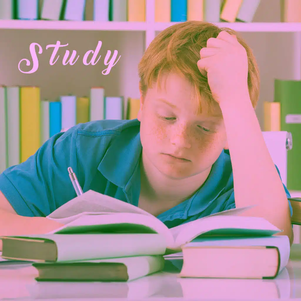 Study