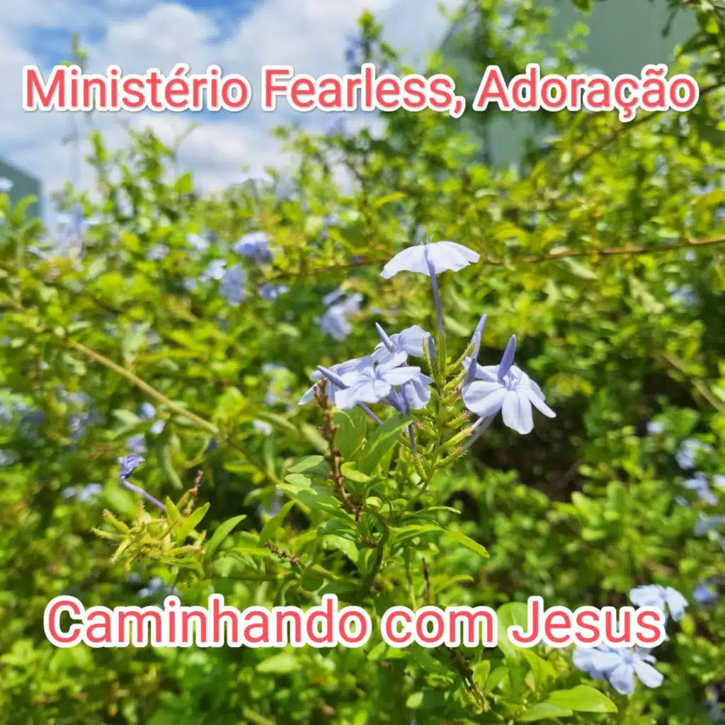 Caminhando com Jesus (feat. AIL TITAN, Ailton Souza Santos & LUDMILLA  Alves SANTOS)