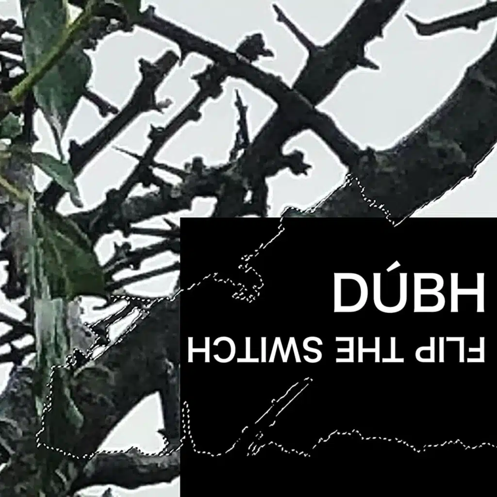 DÚBH
