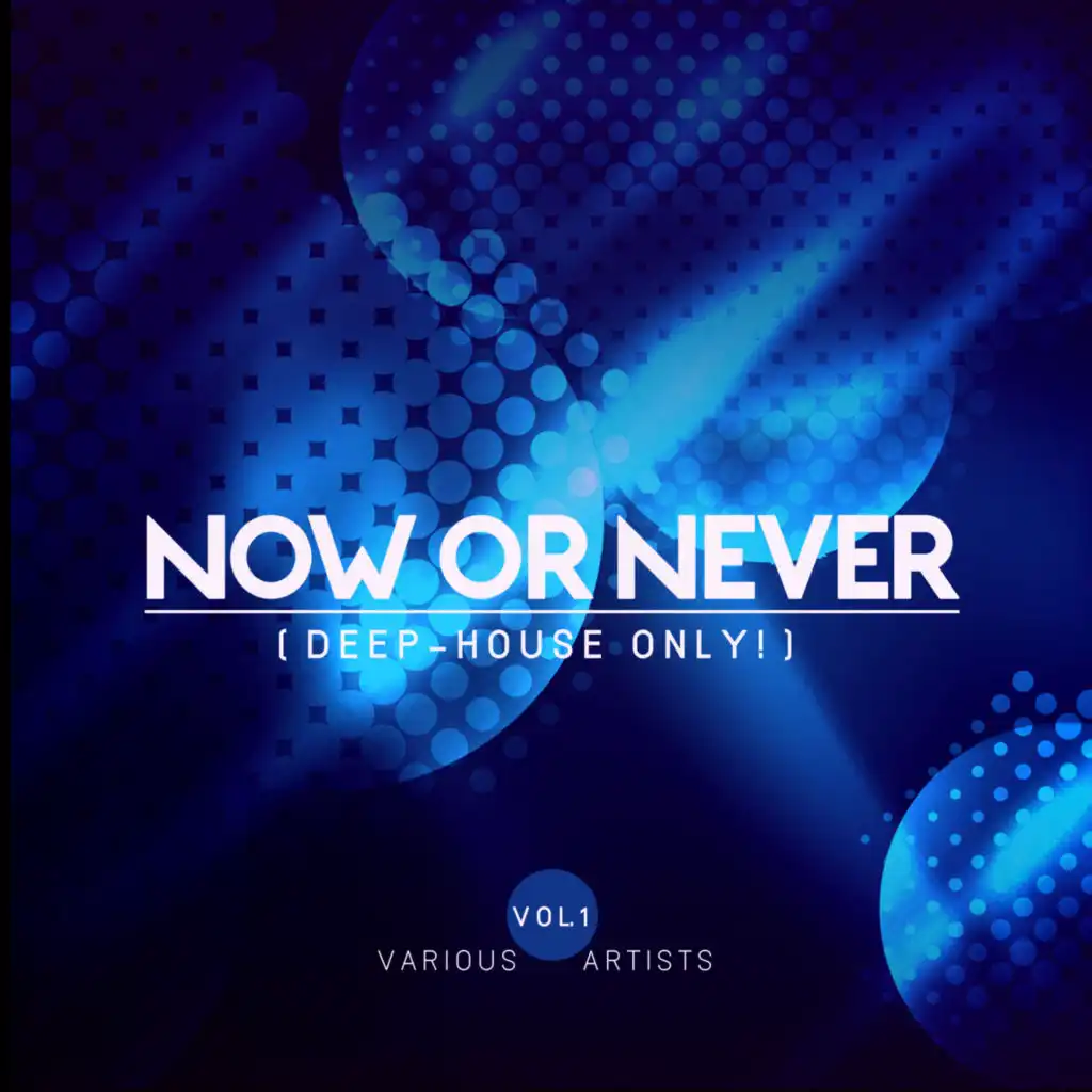 Now Or Never, Vol. 1 (Deep-House ONLY!)