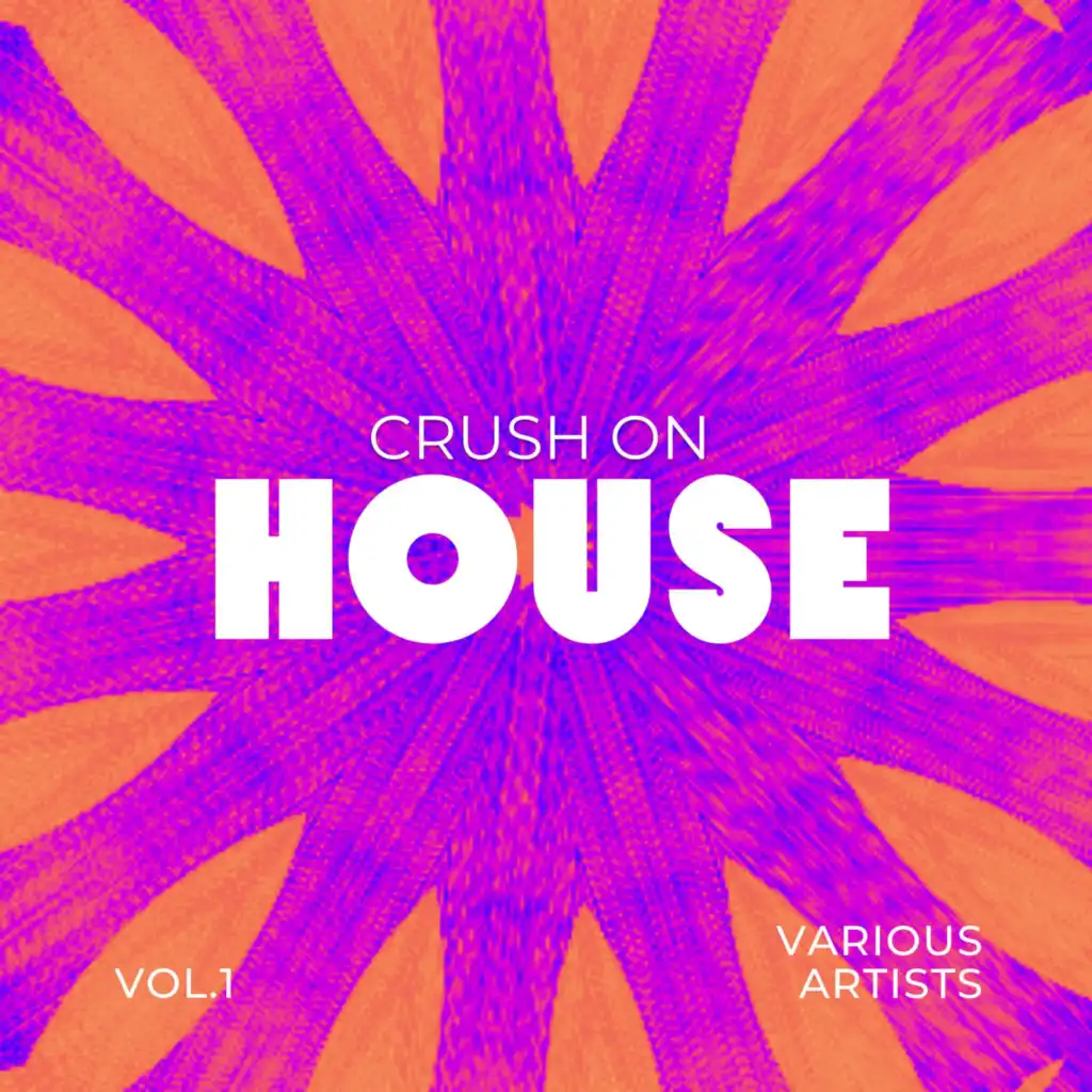 Crush On House, Vol. 1