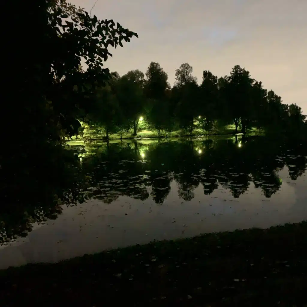 мне нужен микрофон