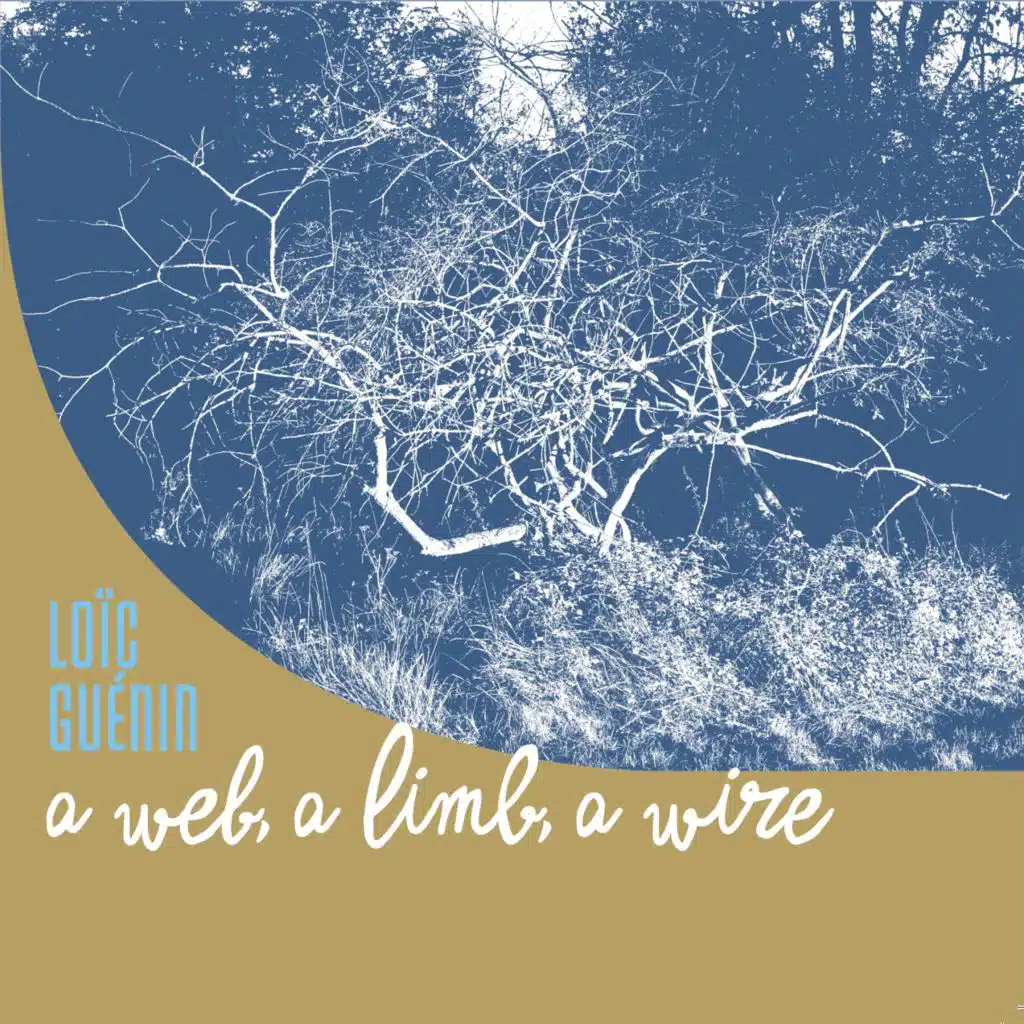 A web, a limb, a wire