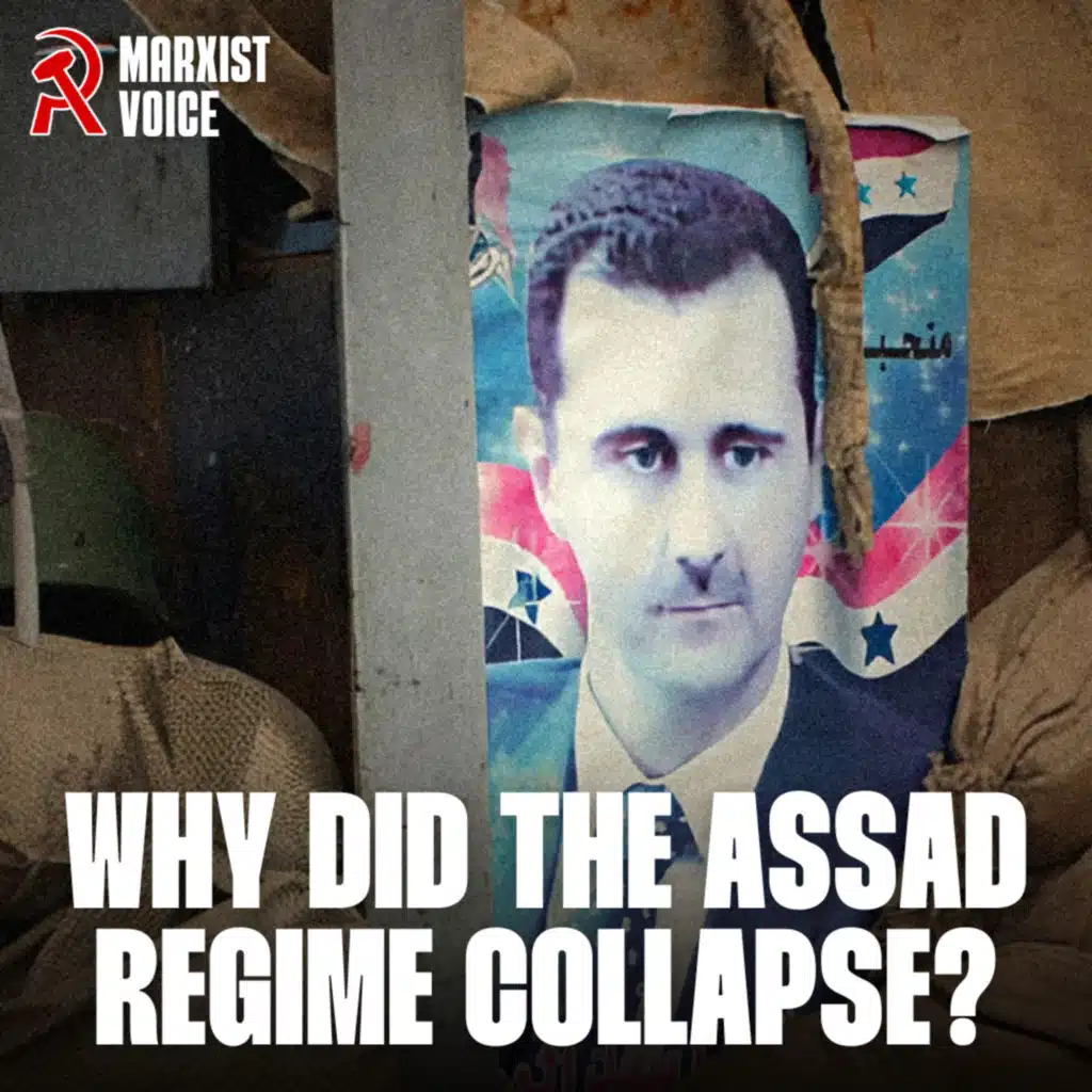 Why did the Assad regime fall?
