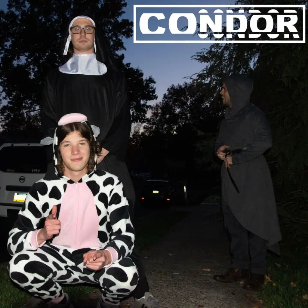 Cóndor