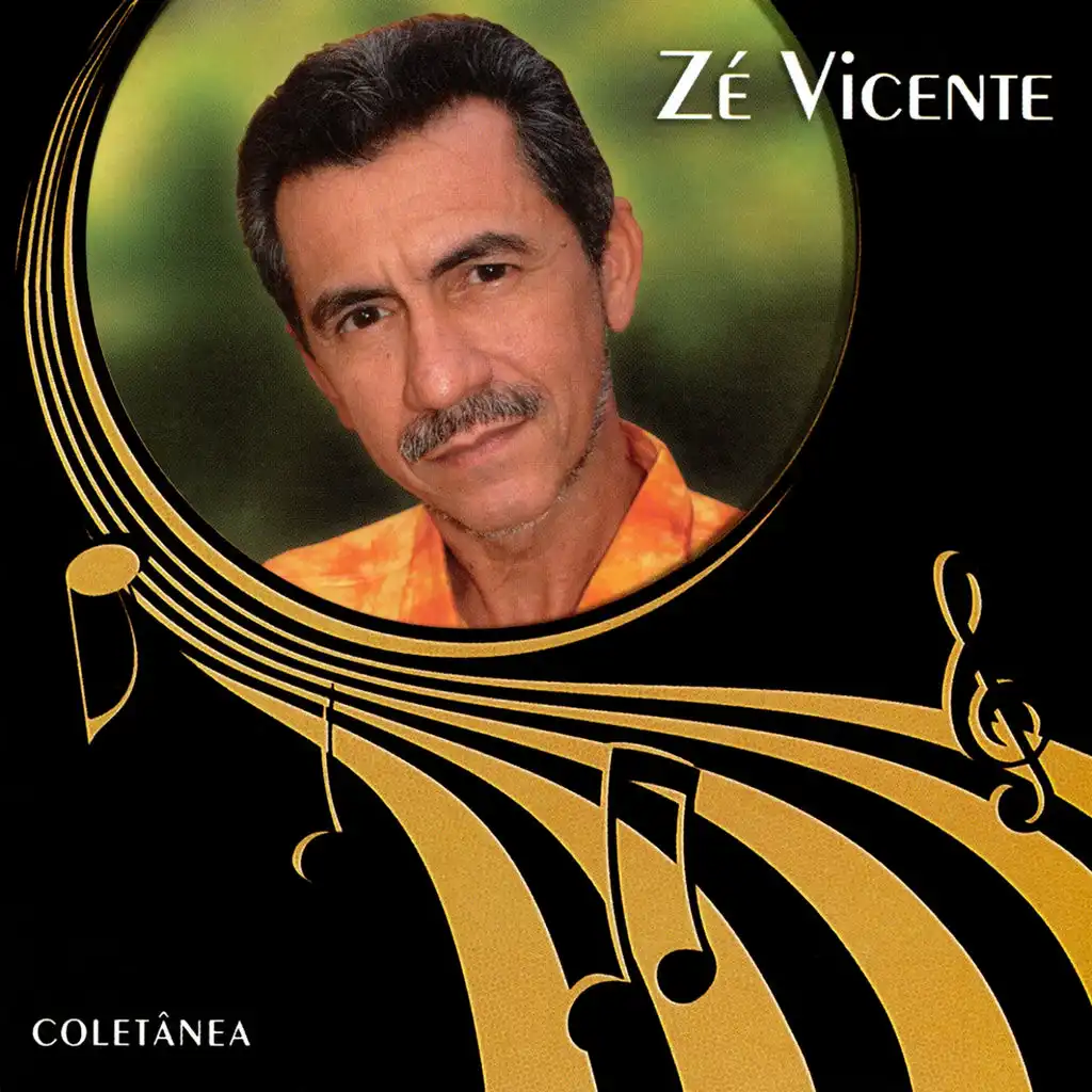 Zé Vicente (Coletânea)