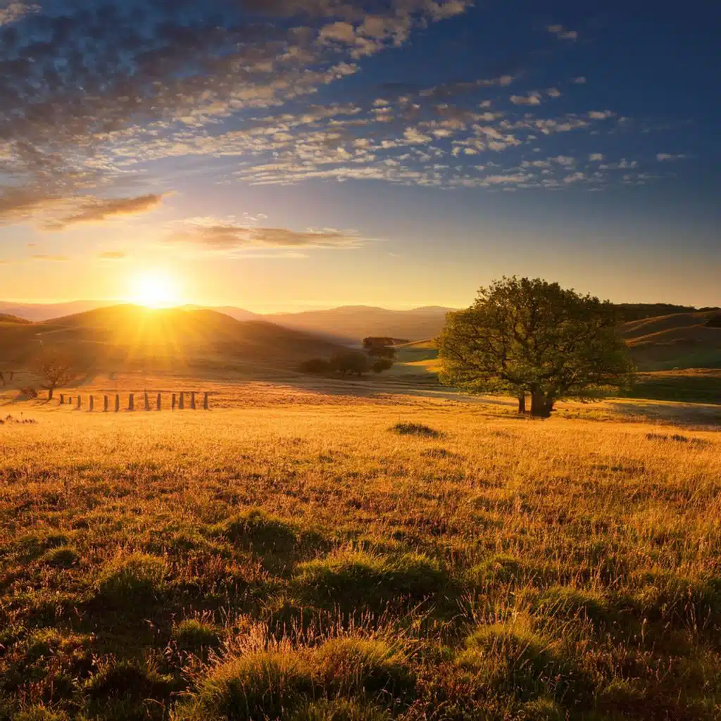 Los Latidos Alinean La Paz