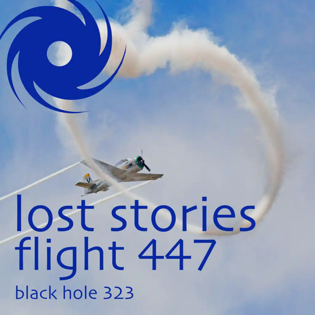 Flight 447 (Jonas Steur Remix)