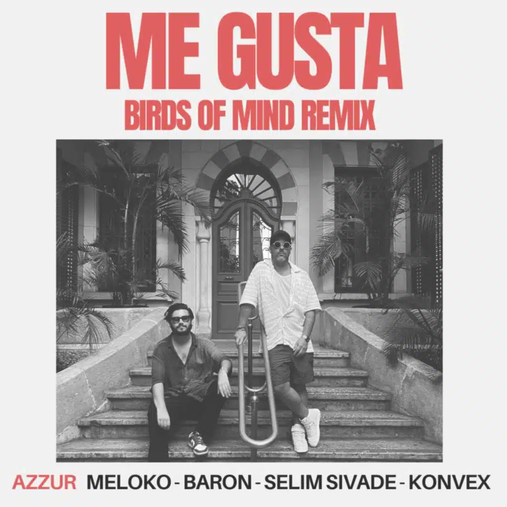 AZZUR, Meloko, Baron (FR), Selim Sivade, Konvex (FR) & Birds of Mind