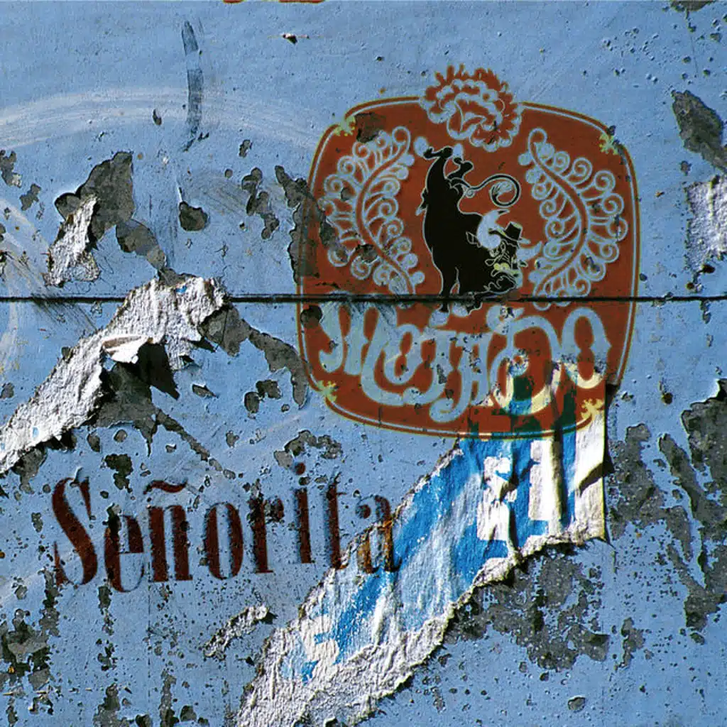 Senorita (Mr Sam Vision)