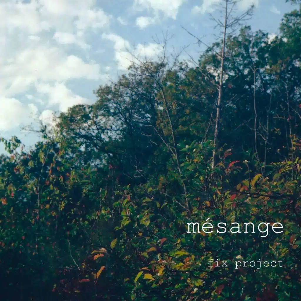 Mésange