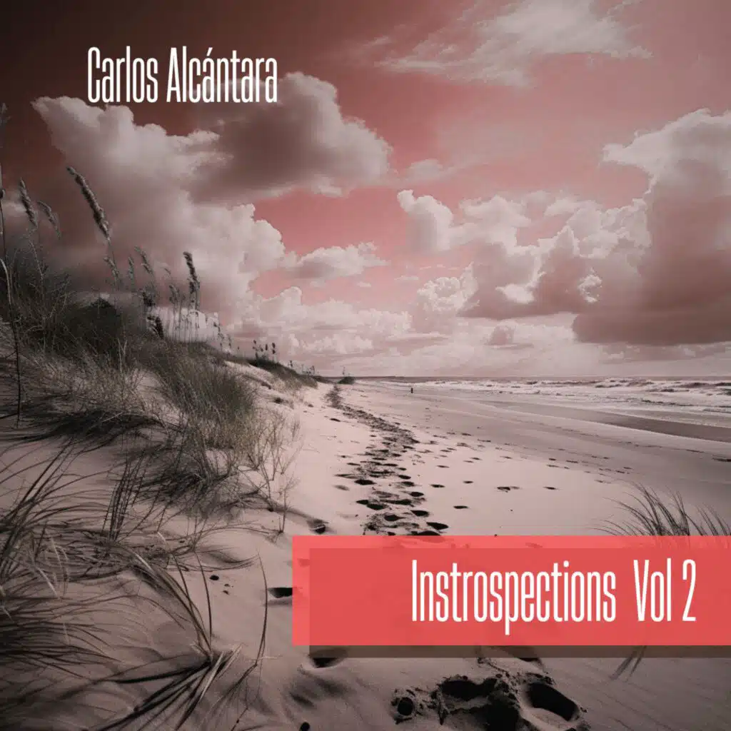 Introspections  Vol 2