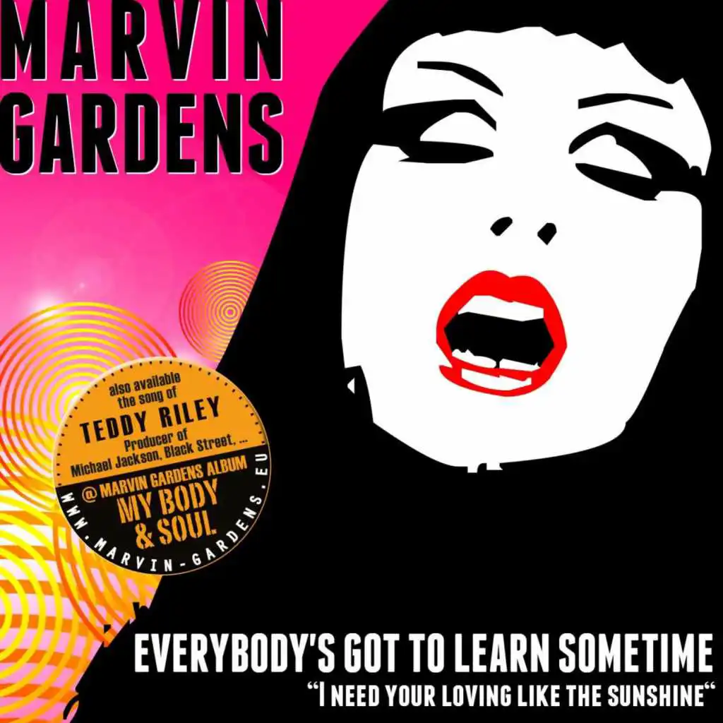 Everybody's Got to Learn Sometime (Original 12" Mix by R78 , P.Clubber)