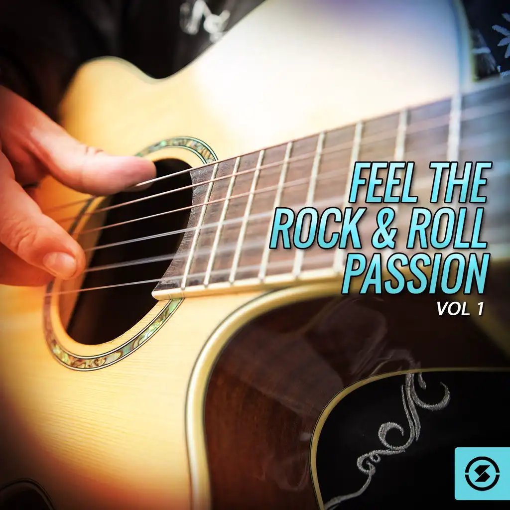 Feel the Rock & Roll Passion, Vol. 1