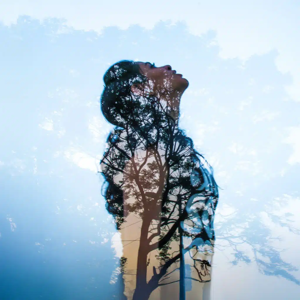 In the Shade of Tranquility