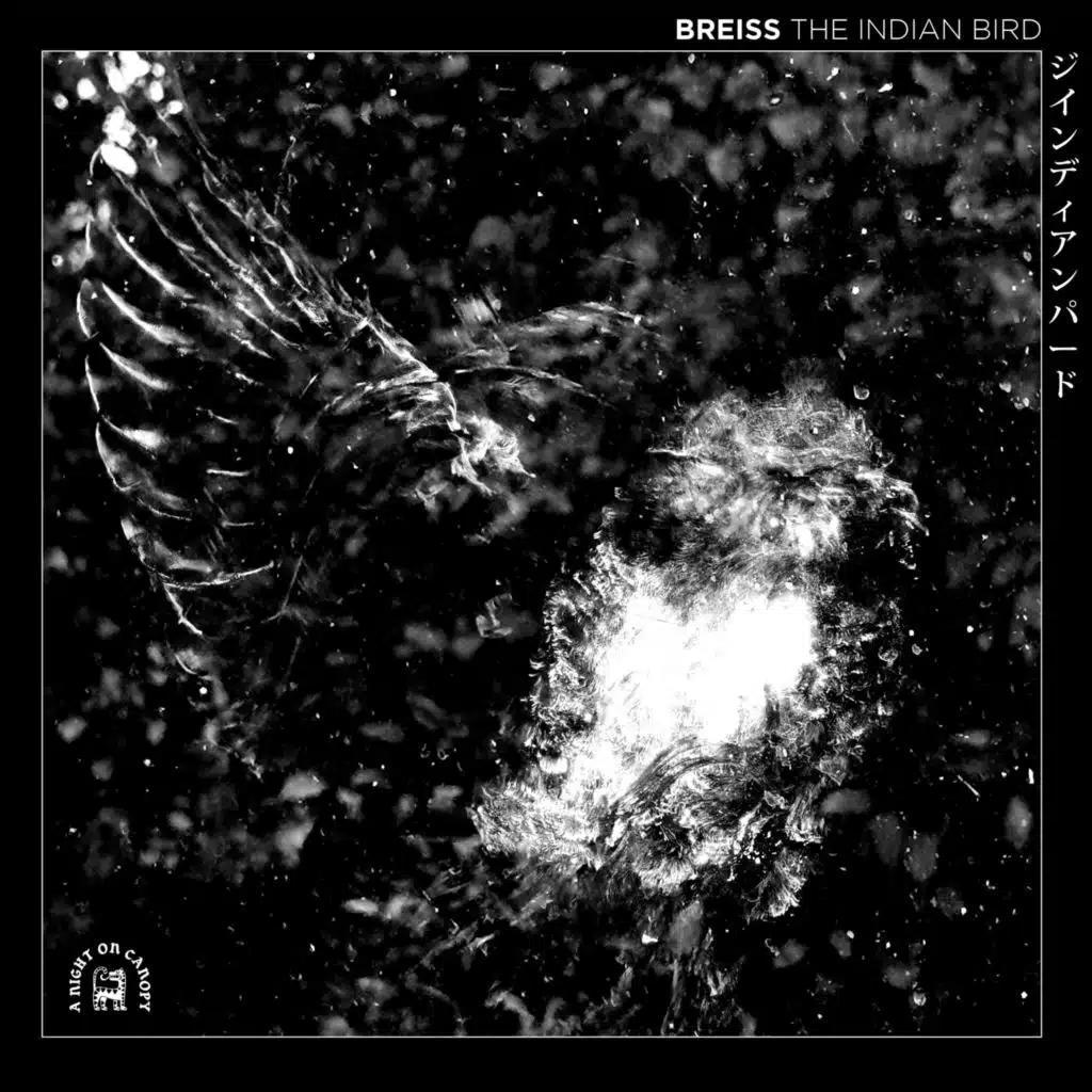 Breiss