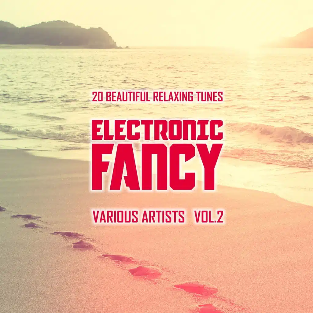 Electronic Fancy (20 Beautiful Relaxing Tunes), Vol. 2