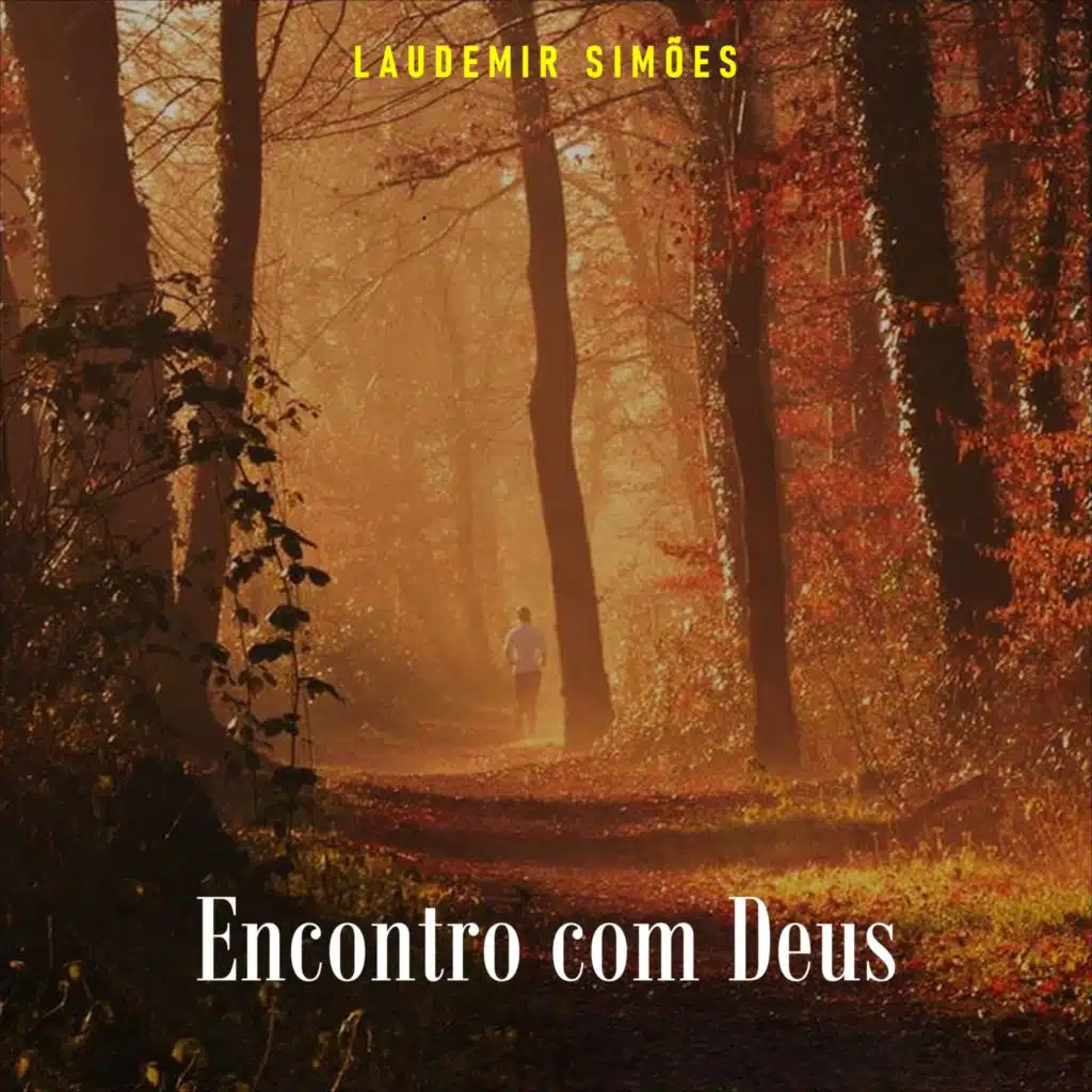 Laudemir Simoes