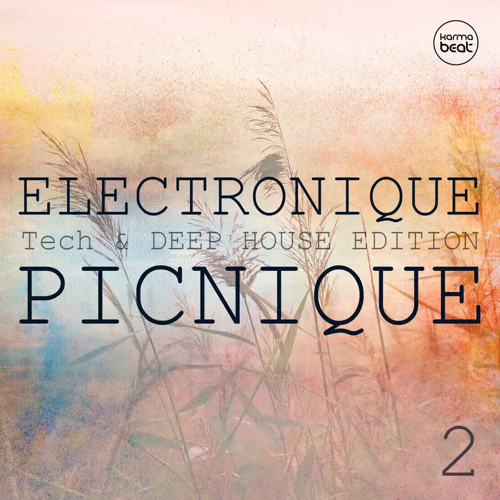 Electronique Picnique, Vol. 2 (Teck & Deep House Edition)