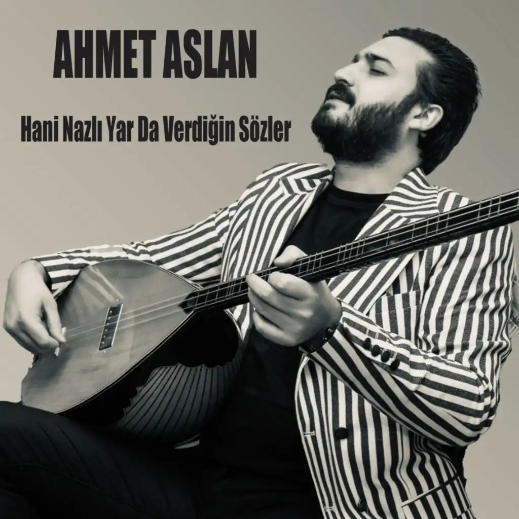 Ahmet Aslan