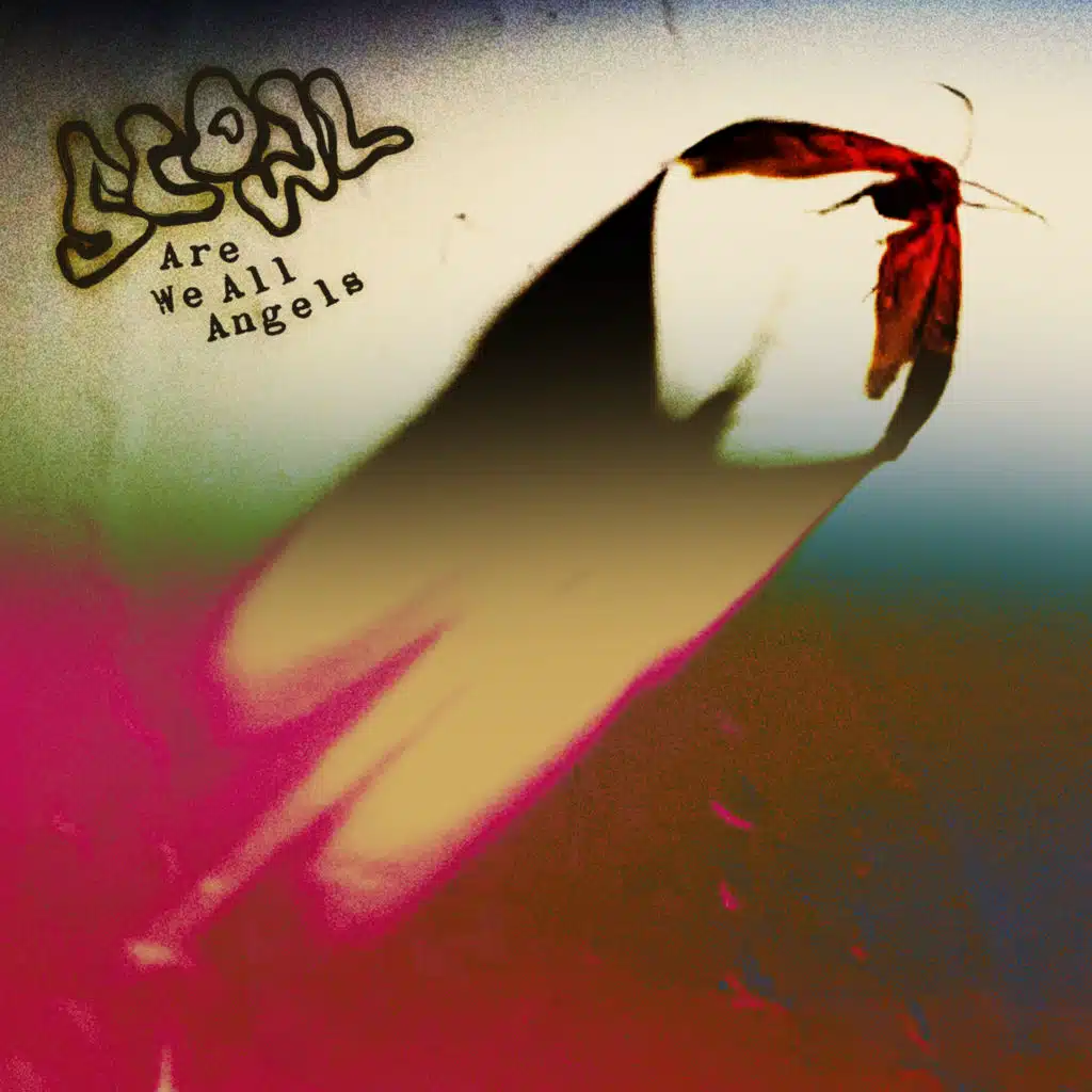 Not Hell, Not Heaven