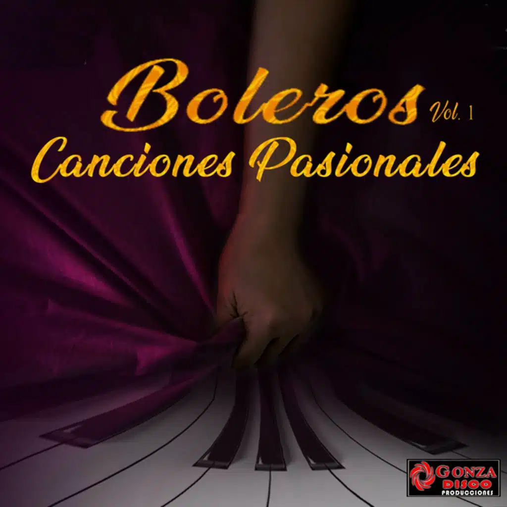 Boleros Canciones Pasionales, Vol. 1