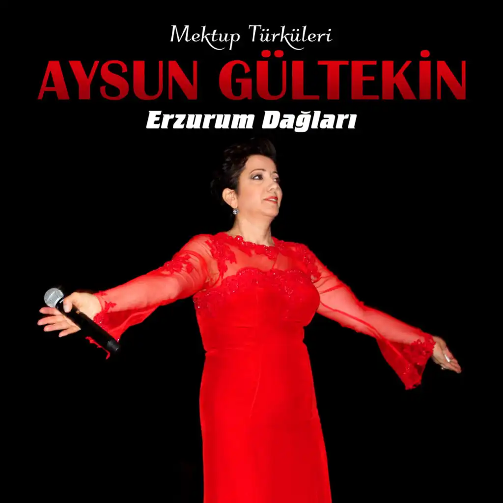 Aysun Gültekin