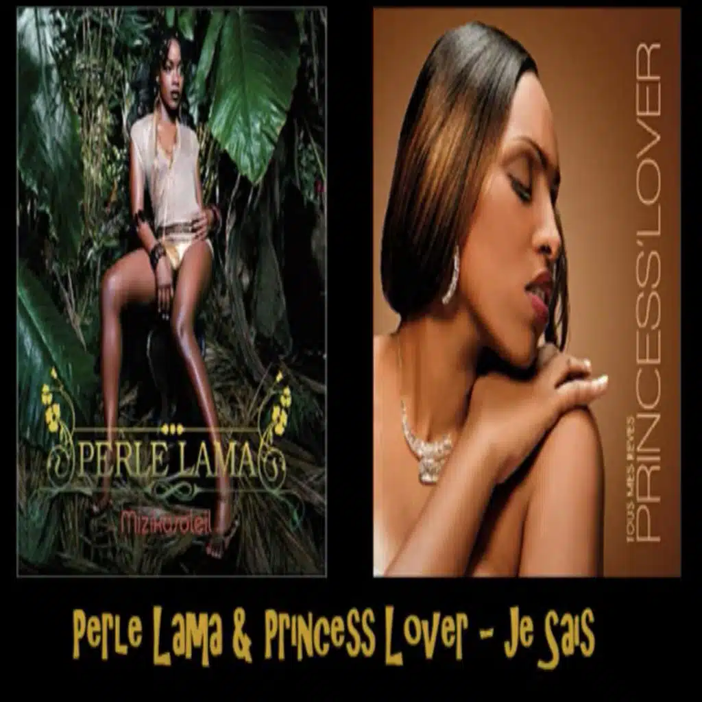 Je Sais (feat. Princess' Lover)