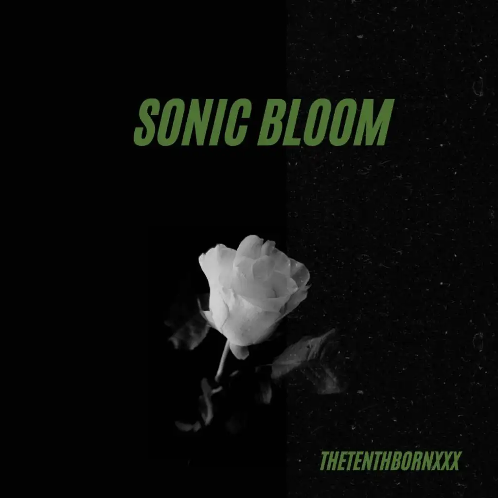 Sonic Bloom (feat. 童安格 & Kim Yeon Woo)